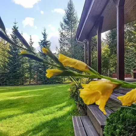 Beautiful In With Wifi Holiday home